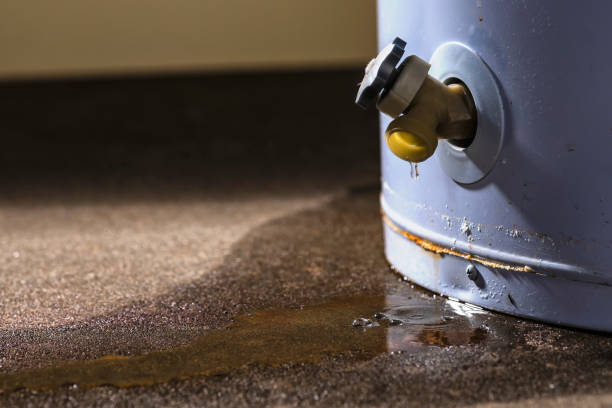 Best Residential water damage restoration  in Euharlee, GA