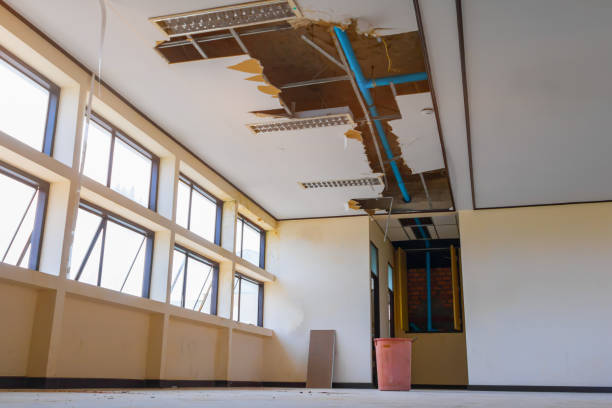 Best Fire Damage Restoration  in Euharlee, GA