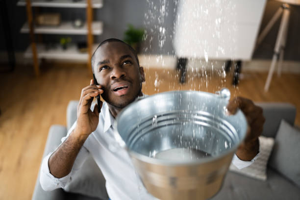 Best Ceiling water damage repair  in Euharlee, GA