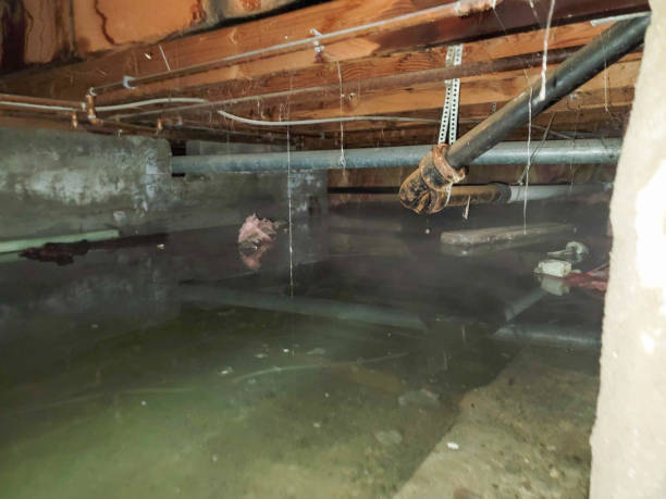 Best Flooded house restoration  in Euharlee, GA