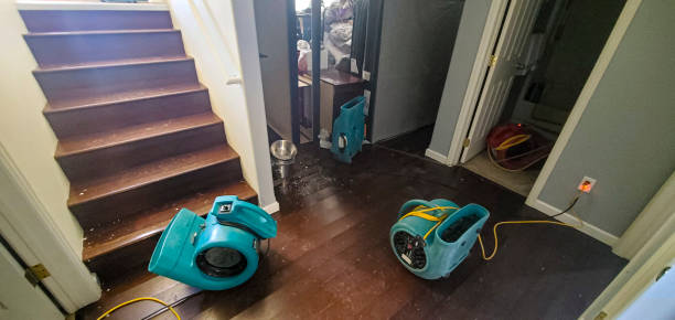 Best Water damage restoration near me  in Euharlee, GA
