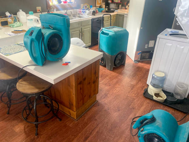  Euharlee, GA Water damage restoration Pros