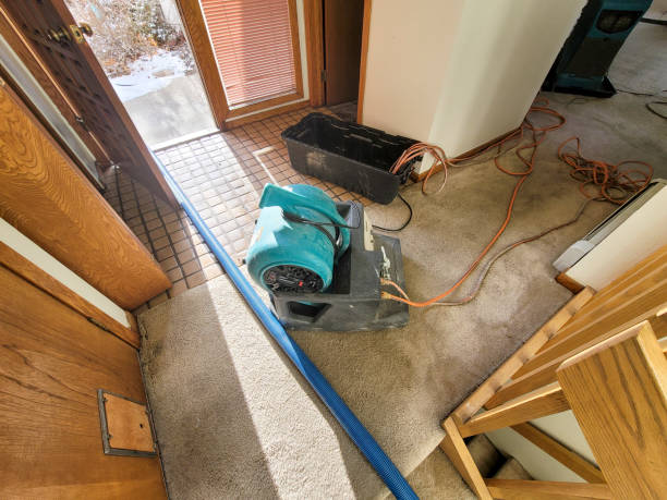 Best Commercial water damage restoration  in Euharlee, GA