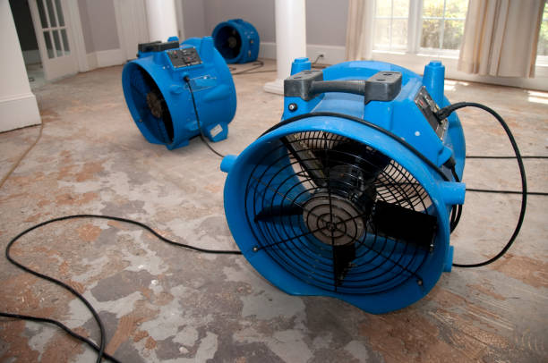 Best Flood restoration services  in Euharlee, GA