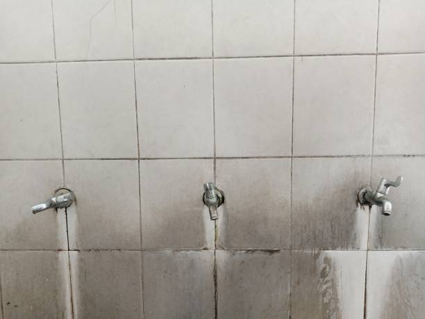 Best Water damage restoration services  in Euharlee, GA