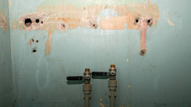 Best Local water damage restoration  in Euharlee, GA