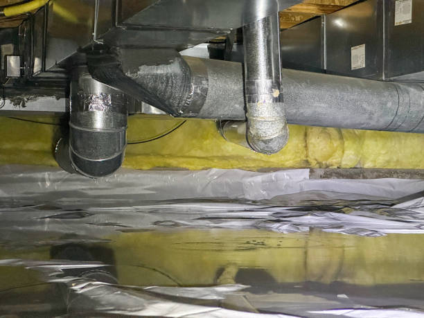 Best Basement water damage restoration  in Euharlee, GA