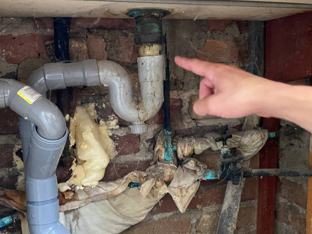 Best Professional water damage repair  in Euharlee, GA