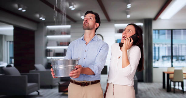 Best Flood damage cleanup  in Euharlee, GA